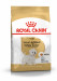 Royal Canin BHN West Highland White Terrier Adult - suché krmivo pro dospělé psy - 3kg - Fotogalerie 1