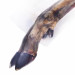 PETMEX Deer hoof - žvýkačka pro psy - 1 kusů - Fotogalerie 3