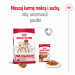 ROYAL CANIN Adult Medium - suché krmivo pro psy - 4kg - Fotogalerie 13