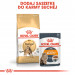Royal Canin Bengal Adult suché krmivo pro kočky 2 kg Dospělý jedinec Drůbež, Zeleninová - Fotogalerie 2