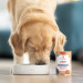 PERRO Light Duck with vegetables - vlhké krmivo pro psy - 800g - Fotogalerie 4
