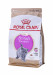 ROYAL CANIN British Shorthair Kitten - suché krmivo pro kočky - 400g - Fotogalerie 1