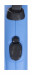Flexi New Classic Zatahovací vodítko 8 m - Fotogalerie 6