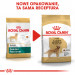 ROYAL CANIN BHN Golden Retriever suché krmivo pro psy - 12kg - Fotogalerie 3
