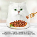 Purina GOURMET GOLD 85 g - Fotogalerie 13