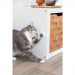 TRIXIE Catnip ball - hračka pro kočku - Fotogalerie 3