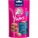 VITAKRAFT Cat Yums Salmon - pamlsek pro kočky - 40 g - Fotogalerie 1
