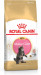 ROYAL CANIN Maine Coon Kitten - suché krmivo pro kočky - 4 kg - Fotogalerie 10