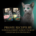 SHEBA Kitten Selection of Flavors in omáčka - mokré krmivo pro kočky - 40x85 g - Fotogalerie 5