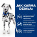 HILL'S PRESCRIPTION DIET Urinary Care Canine u/d Suché krmivo pro psy 10 kg - Fotogalerie 2