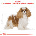 Krmivo Royal Canin SHN Breed Cavalier K C 1,5 kg - Fotogalerie 7