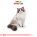 Royal Canin FBN Ragdoll Adult suché krmivo pro kočky 2 kg - Fotogalerie 8