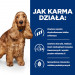 HILL's Prescription Diet Food Sensitivites z/d - suché krmivo pro psy - 10 kg - Fotogalerie 5