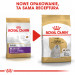 ROYAL CANIN Maltese Adult - suché krmivo pro psy - 1,5 kg - Fotogalerie 2