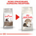ROYAL CANIN FHN Senior Ageing 12+ - suché krmivo pro kočky - 4 kg - Fotogalerie 9