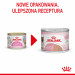Royal Canin BABYCAT INSTINCTIVE - Mokré krmivo pro kočky - 195 g - Fotogalerie 12