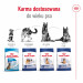 ROYAL CANIN Maxi Adult - suché krmivo pro psy - 15 kg - Fotogalerie 6
