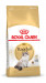 Royal Canin FBN Ragdoll Adult suché krmivo pro kočky 2 kg - Fotogalerie 9