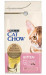 Purina Cat Chow Kitten suché krmivo pro kočky Kotě Kuřecí maso 1,5 kg - Fotogalerie 1