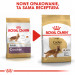 ROYAL CANIN Adult Cocker - suché krmivo pro psy - 12 kg - Fotogalerie 2