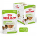 ROYAL CANIN Adult xs-small - vlhké krmivo pro psy - 12 x 85g - Fotogalerie 1