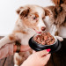 PERRO Gourmet Junior Horsemeat with zucchini - mokré krmivo pro psy - 800g - Fotogalerie 2