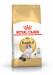 Royal Canin FBN Ragdoll Adult suché krmivo pro kočky 2 kg - Fotogalerie 1
