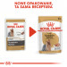 Royal Canin Yorkshire Terrier Dospělý jedinec 85 g - Fotogalerie 3