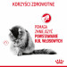ROYAL CANIN FCN Hairball Care kousky v omáčce - mokré krmivo pro kočky - 12x85 g - Fotogalerie 13