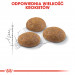 ROYAL CANIN Outdoor Adult - suché krmivo pro kočky - 400g - Fotogalerie 7