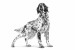 ROYAL CANIN Gastrointestinal Low Fat Loaf VHN - vlhké krmivo pro psy - 200g - Fotogalerie 2