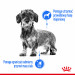 ROYAL CANIN Light Weight Care Mokré krmivo pro psy Paštika 12x85 g - Fotogalerie 7