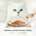 PURINA Gourmet Gold Succulent Delights Beef - mokré krmivo pro kočky - 85g - Fotogalerie 10