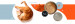 3COTY Turkey with chicken and krill Senior - mokré krmivo pro kočky - 6x80g - Fotogalerie 17