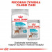 Royal Canin CCN Urinary Care Loaf - mokré krmivo pro dospělé psy - 12x85g - Fotogalerie 6