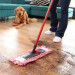 Mop na srst a vlasy Vileda Pet Pro - Fotogalerie 4