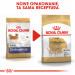 ROYAL CANIN BHN Čivava Adult suché krmivo pro psy - 1,5 kg - Fotogalerie 2