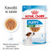 ROYAL CANIN SHN Mini Puppy in sauce - mokré krmivo pro štěňata - 12X85g - Fotogalerie 5