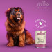 OLLO Umami Lamb and beef - vlhké krmivo pro psy - 850g - Fotogalerie 8
