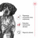 ROYAL CANIN Adult Medium - suché krmivo pro psy - 4kg - Fotogalerie 3