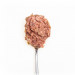 3COTY Turkey with chicken - mokré krmivo pro kočky - 6x80g - Fotogalerie 19