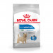 Royal Canin CCN MINI LIGHT WEIGHT CARE - suché krmivo pro dospělé psy - 3kg - Fotogalerie 1