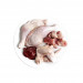 3COTY Chicken - mokré krmivo pro kočky - 6x80g - Fotogalerie 20