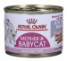Royal Canin BABYCAT INSTINCTIVE - Mokré krmivo pro kočky - 195 g - Fotogalerie 13
