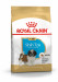 ROYAL CANIN Shih Tzu Puppy - suché krmivo pro psy - 1,5 kg - Fotogalerie 1