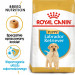 ROYAL CANIN SHN Breed Labrador Junior suché krmivo pro psy - 12 kg. - Fotogalerie 9