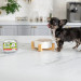 RAW PALEO Pate Mini Puppy Beef - mokré krmivo pro štěňata - 150g - Fotogalerie 2