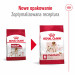 ROYAL CANIN Adult Medium - suché krmivo pro psy - 4kg - Fotogalerie 9
