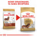 ROYAL CANIN Dachshund Adult - suché krmivo pro psy - 7,5 kg - Fotogalerie 3