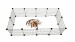 C&C Modulární výběh pro psy 145x75x37 cm - Fotogalerie 7